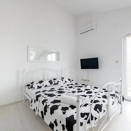 Bacic Apartment